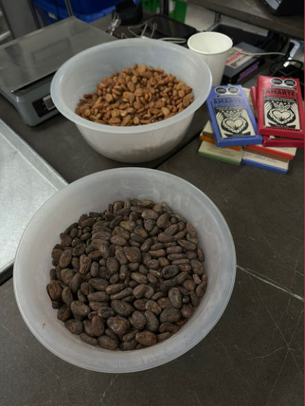 Nibs de cacao en un tazón durante el proceso bean to bar